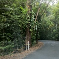 /gallery/scale/1314432596-19207-188-sq.jpg