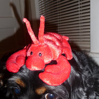 /tagtober09/gallery/scale/1254459046-32447-710-sq.jpg