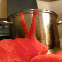 /tagtober09/gallery/scale/1254543488-19947-485-sq.jpg