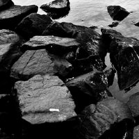 /tagtober09/gallery/scale/1255471056-24297-44-sq.jpg