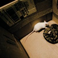 /tagtober09/gallery/scale/1255572217-9105-687-sq.jpg