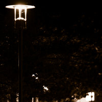 /tagtober09/gallery/scale/1256272120-30316-396-sq.jpg