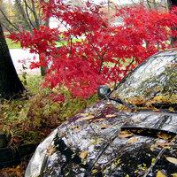 /tagtober09/gallery/scale/1256335070-10843-583-sq.jpg