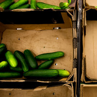 /tagtober09/gallery/scale/1256609726-1298-632-sq.jpg